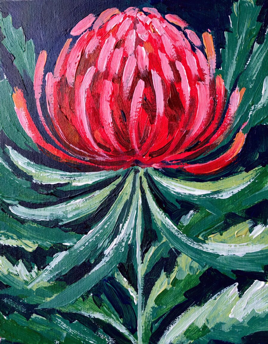 Red waratah artwork